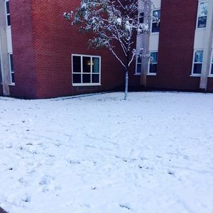 Meet your Posher, Shane